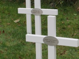 Hundert Jahre erster Weltkrieg 11/2014
