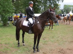 Reitturnier Donaueschingen 09/2013